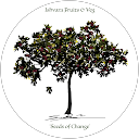 Anir R. profile picture